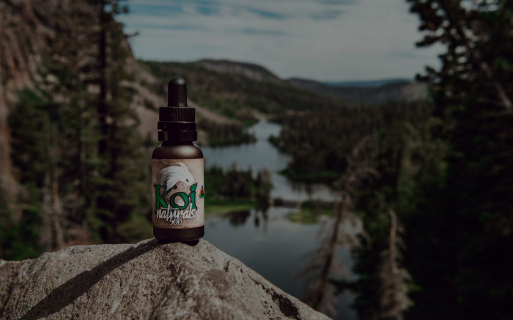 What is CBD? Everything a Beginner Needs to Know