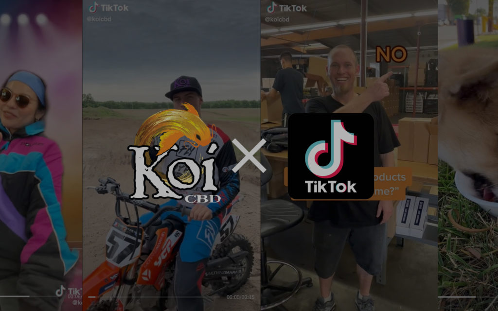 Follow Koi on TikTok!